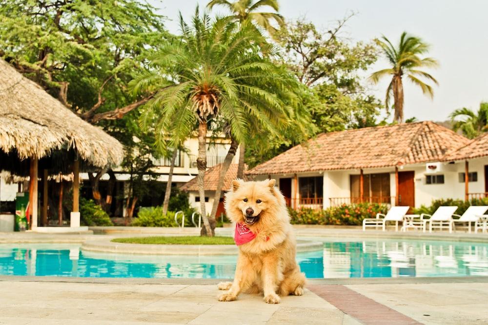 Estelar Santamar Hotel & Centro De Convenciones ซันตามาร์ตา ภายนอก รูปภาพ
